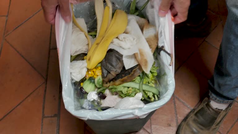 Best Recycling Services for Junk  in Woodside, PA